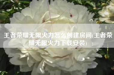 王者荣耀无限火力怎么创建房间(王者荣耀无限火力下载安装)