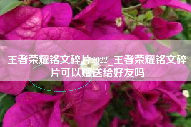 王者荣耀铭文碎片2022_王者荣耀铭文碎片可以赠送给好友吗