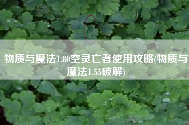 物质与魔法1.80空灵亡者使用攻略(物质与魔法1.55破解)