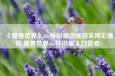 《魔兽世界》tbc怀旧服惩戒骑实用宏推荐(魔兽世界tbc怀旧服人口普查)