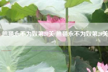 熊猫永不为奴第28关(熊猫永不为奴第29关) 熊猫永不为奴第28关(熊猫永不为奴第29关)