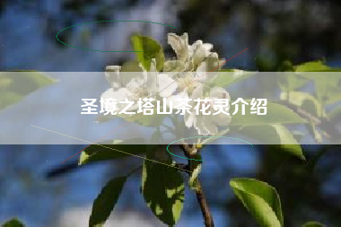 圣境之塔山茶花灵介绍