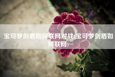 宝可梦剑盾如何联网对战(宝可梦剑盾如何联网)