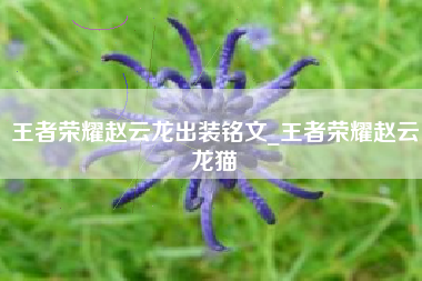 王者荣耀赵云龙出装铭文_王者荣耀赵云龙猫