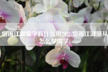 烟雨江湖儒学有什么用2022(烟雨江湖随从怎么学儒学)