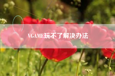 VGAME玩不了解决办法