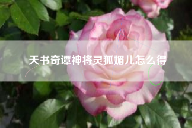 天书奇谭神将灵狐媚儿怎么得