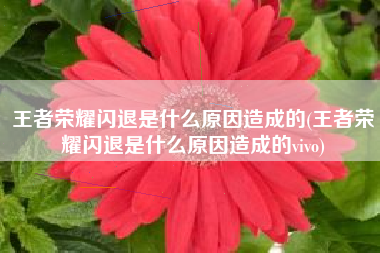 王者荣耀闪退是什么原因造成的(王者荣耀闪退是什么原因造成的vivo)