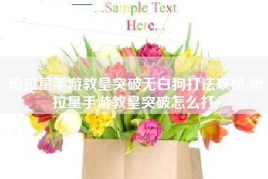 奥拉星手游教皇突破无白狗打法攻略(奥拉星手游教皇突破怎么打)