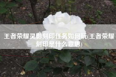王者荣耀灵影刻印任务如何玩(王者荣耀刻印是什么意思)