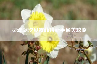 灵魂潮汐贝露菲特新手通关攻略