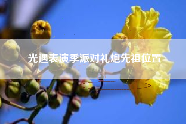 光遇表演季派对礼炮先祖位置