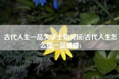 古代人生一品大学士如何玩(古代人生怎么捉一品蛐蛐)
