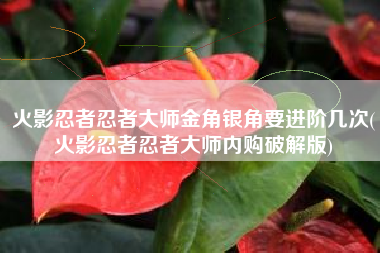 火影忍者忍者大师金角银角要进阶几次(火影忍者忍者大师内购破解版)
