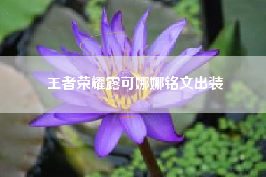 王者荣耀露可娜娜铭文出装