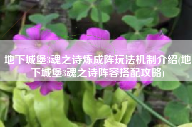 地下城堡3魂之诗炼成阵玩法机制介绍(地下城堡3魂之诗阵容搭配攻略)