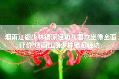 烟雨江湖少林镇派轻功九图六坐像全面评价(烟雨江湖少林镇派轻功)