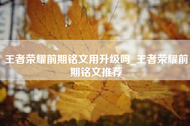 王者荣耀前期铭文用升级吗_王者荣耀前期铭文推荐