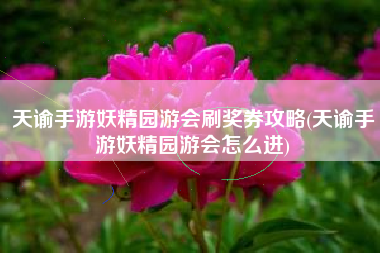 天谕手游妖精园游会刷奖券攻略(天谕手游妖精园游会怎么进)