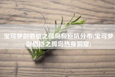 宝可梦剑盾铠之孤岛极巨坑分布(宝可梦剑盾铠之孤岛热身洞窟)