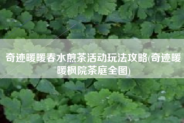 奇迹暖暖春水煎茶活动玩法攻略(奇迹暖暖枫院茶庭全图)