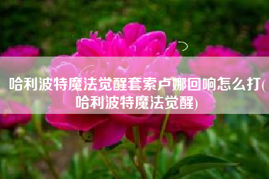 哈利波特魔法觉醒套索卢娜回响怎么打(哈利波特魔法觉醒)