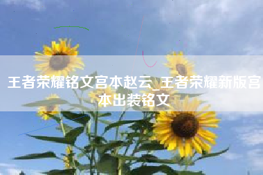 王者荣耀铭文宫本赵云_王者荣耀新版宫本出装铭文