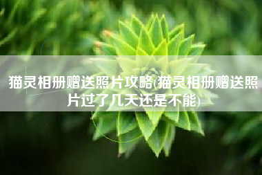 猫灵相册赠送照片攻略(猫灵相册赠送照片过了几天还是不能)