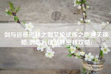 剑与远征密林之刺艾伦试炼之地通关攻略(剑与远征丛林密林攻略)
