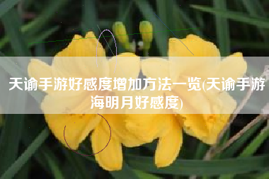 天谕手游好感度增加方法一览(天谕手游海明月好感度)