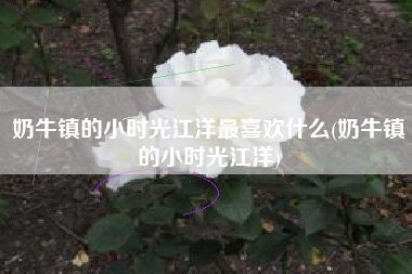 奶牛镇的小时光江洋最喜欢什么(奶牛镇的小时光江洋)