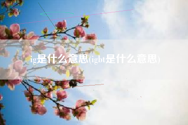 ig是什么意思(igbt是什么意思)