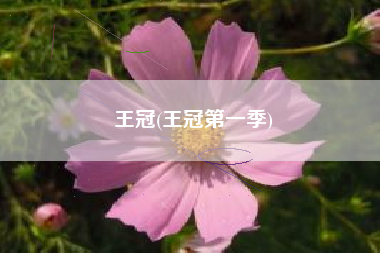 王冠(王冠第一季)