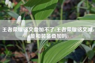 王者荣耀铭文叠加不了(王者荣耀铭文减cd能和装备叠加吗)