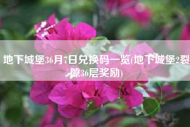 地下城堡36月7日兑换码一览(地下城堡2裂隙36层奖励)