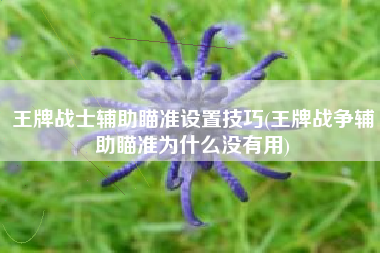 王牌战士辅助瞄准设置技巧(王牌战争辅助瞄准为什么没有用)
