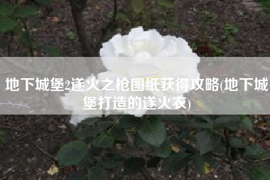 地下城堡2遂火之枪图纸获得攻略(地下城堡打造的遂火衣)