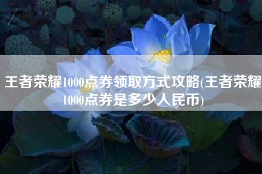 王者荣耀1000点券领取方式攻略(王者荣耀1000点券是多少人民币)