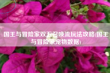 国王与冒险家双五召唤流玩法攻略(国王与冒险家宠物数据)