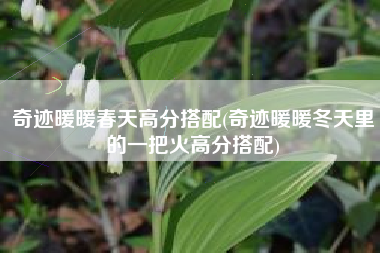 奇迹暖暖春天高分搭配(奇迹暖暖冬天里的一把火高分搭配)