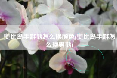 奥比岛手游熊怎么换颜色(奥比岛手游怎么换男熊)