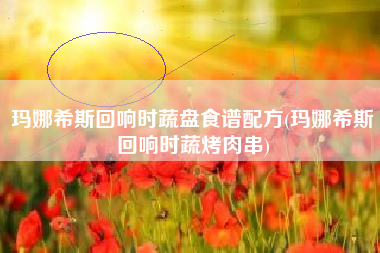 玛娜希斯回响时蔬盘食谱配方(玛娜希斯回响时蔬烤肉串)