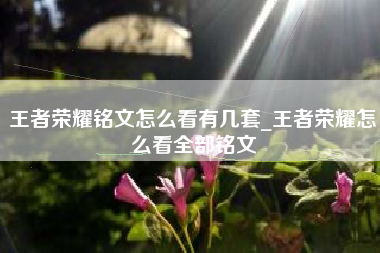 王者荣耀铭文怎么看有几套_王者荣耀怎么看全部铭文