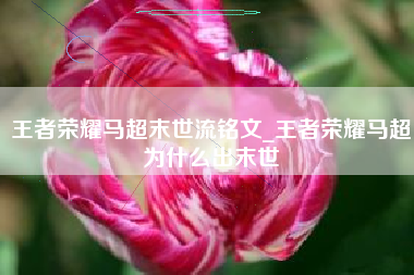 王者荣耀马超末世流铭文_王者荣耀马超为什么出末世