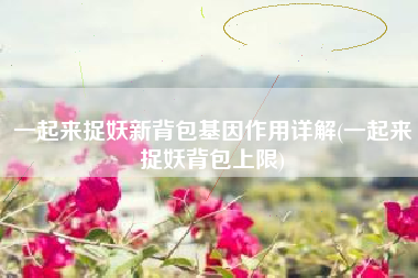 一起来捉妖新背包基因作用详解(一起来捉妖背包上限)