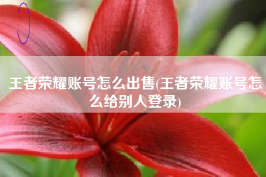 王者荣耀账号怎么出售(王者荣耀账号怎么给别人登录)