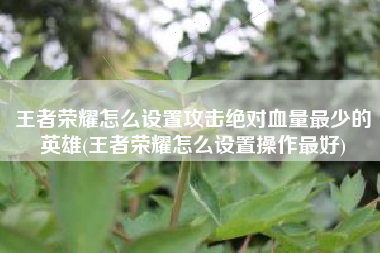 王者荣耀怎么设置攻击绝对血量最少的英雄(王者荣耀怎么设置操作最好)