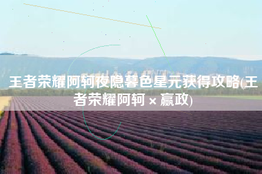 王者荣耀阿轲夜隐暮色星元获得攻略(王者荣耀阿轲×嬴政)