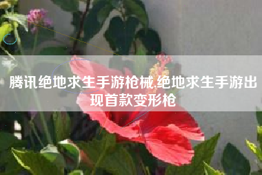 腾讯绝地求生手游枪械,绝地求生手游出现首款变形枪