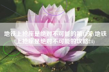 地铁上抢座是绝对不可能的第13关(地铁上抢座是绝对不可能的攻略24)